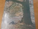 John Lennon/Plastic Ono Band, US Apple 1st Press, Vinyl LP,