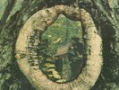 LP Mannheim Steamroller Fresh Aire III DIE CUT GATEFOLD COVER American Grama
