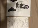 PJ Harvey Signed B Sides Demos And Rarities 6 LP Box Signed Art Card Autograph