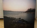 Cardamom Times by Weyes Blood Vinyl LP 1st pressing 2015 NM/NM Plus Insert