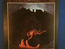 DAMNATION OF ADAM BLESSING Self 1969 1st PRESS vinyl LP VPI CLEANED HEAVY PSYCH