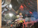 Daily Terror – Apocalypse, Vinyl, LP, Album