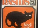 rastus black cat 7