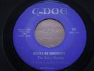 GLORY RHODES   Gonna Be Somebody   EX-   U-DOE 102   Folk Garage Dancers 1966 US