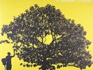 Jack Johnson In Between Dreams  (Vinyl)