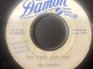 Mid-60s garage band demo 45 THE SAFARIS ‘Hey Little Beach Girl’/‘Boys And Girls'