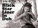 Fred Locks Black Star Liner in Dub (Vinyl) 12