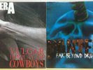 Pantera / Korea 2LP - Vulgar display Cowboys, Far Beyond Driven 1994 1st NMINT