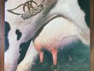 Aerosmith - Get A Grip Korea LP Vinyl With Insert 1993