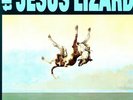 THE JESUS LIZARD - DOWN - NEW VINYL