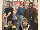 BUFFALO SPRINGFIELD What's That Sound? 5xLP box set 2018 psychedelic NEAR MINT