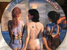 Pink Floyd Picture Disc, RARE BEAUTIES, Hard to find collectable