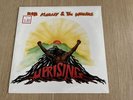 Bob Marley and the Wailers￼ Sealed Lp Record UPRISING 1980 Island