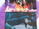KATE BUSH RUBBERBAND GIRL PICTURE DISC 12