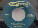 Fabulaires WHILE WALKING / NO NO (DOO WOP 45) #103 PLAYS VG++