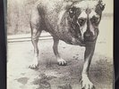 Alice In Chains - Alice In Chains Self Titled 1995 ORIGINAL US VINYL VG+/EX