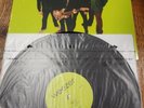 Weezer : Green Album (Vinyl LP, Geffen, 2016 Reissue) in wrapper