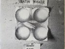 SATIN WHALE Desert Places LP 1970s German Heavy Prog LP Orig. Brain—green label