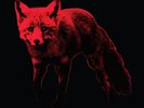 Prodigy - The Day Is My Enemy Remixes - Vinile (rsd 2022 - 180 gr red vinyl -...