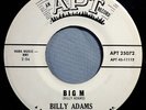 HEAR IT 60's Instrumental Promo 45 rpm record Billy Adams 