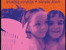 Smashing Pumpkins - Siamese Dream 2LP - Vinyl - Brand New Sealed