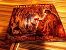 2LP Grave Digger - Heart Of Darkness (black vinyl) 2022