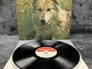 LP Darryl Way's Wolf – Canis Lupus | Japan | EX/NM | Vinyl | Schallplatte
