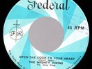 Northern Soul The Mighty Vikings - OPEN THE DOOR TO YOUR HEART ( Darrell Banks )