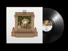 Pink Mountaintops Peacock Pools (Vinyl) 12