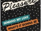 Pleasure Sending My Love / Whats It Gonna Be Vinyl Single 7inch NEAR MINT