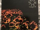 Lifetime Background LP, Kid dynamite