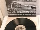 Evil Mothers( Rare Velvets) Vinyl LP-Play Tested- EX- The Velvet Underground Lou
