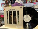 David Allan Coe   Penitentiary Blues   LP   Vinyl   Country   1st Press   Promo