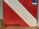 Van Halen Diver Down Walmart Exclusive Vinyl LP With Backstage Pass Replica New