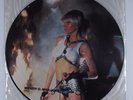 WENDY O. WILLIAMS Wow PASSPORT/MUSIC FOR NATIONS LP VG+ uk picture disc o
