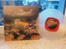 THE FLATLINERS - NEW RUIN COL. LP, NOFX, RISE AGAINST, BAD RELIGION, LAGWAGON