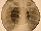Who - My Generation X-RAY BONES RECORDS USSR 272