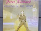 PETER RICHARD Walking In The Neon LP Record 1983 ITALY Club Version Italo-Disco
