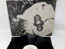 Roger Rubin & Rotfree Anderson Vinyl LP Atlanta Freek Psych Contemp Folk G/G