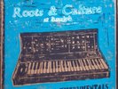 Roots & Culture at Randy's Dub and Instrumentals LP Silk Screen Jacket