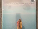 Andrew McMahon In The Wilderness Vinyl