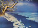 LOCANDA DELLE FATE - Forse Le Lucciole Non Si Amano Piu - Vinyl (LP)