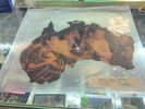 Icehouse - Paradise 7” Single, Shaped Picture Disc, Mint, Ltd. Ed