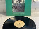 Magazine Secondhand Daylight LP Virgin Records VI2121