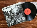 Dinosaur (Pre Dinosaur Jr.) Vinyl LP Record 1988 US Press Warped