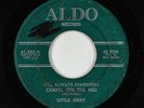 R&B Soul 45 - Little Jerry - Chapel On The Hill - Aldo - mp3 - Swamp Dogg