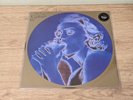 Madonna – Erotica LP picture disc vinyl record 12