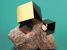 Livingstone (Vinyl)