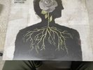 August Burns Red Phantom Anthem  2LP LTD ED Trans Sea Blue 2017 FEARLESS VG++