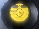 The Glass Menagerie I Said Goodbye To Me + Blonde On Blonde Castle In The Sky 45